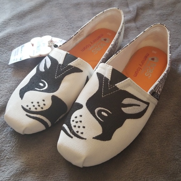 bobs for dogs boston terrier